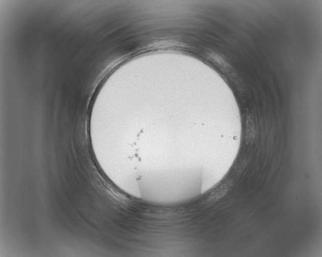 X0000062921322200601271755