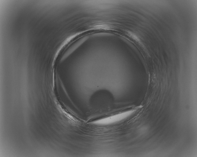 X0000062921323200601271755