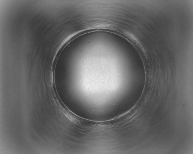 X0000062921324200601271755