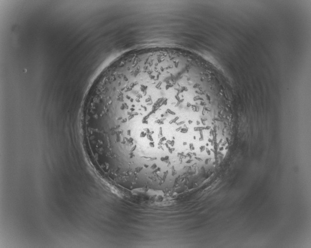 X0000062921325200601271755