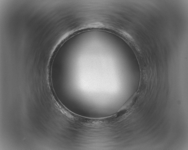 X0000062921326200601271755