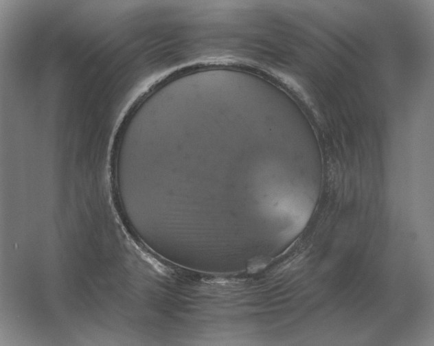 X0000062921327200601271755