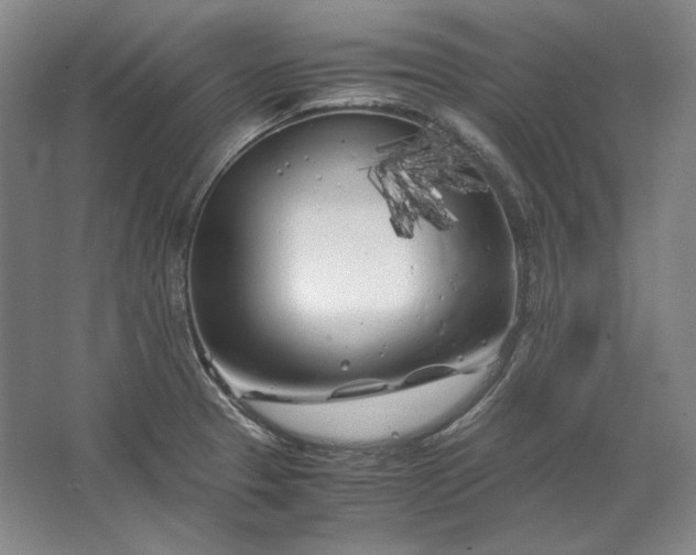 X0000062921329200601271755