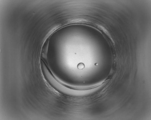 X0000062921330200601271755