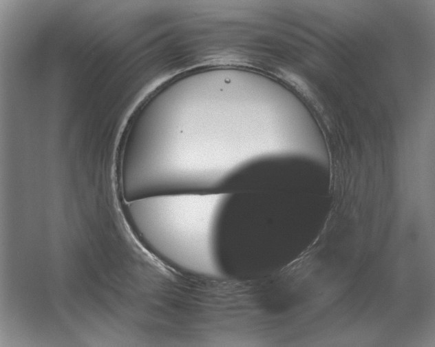 X0000062921331200601271755