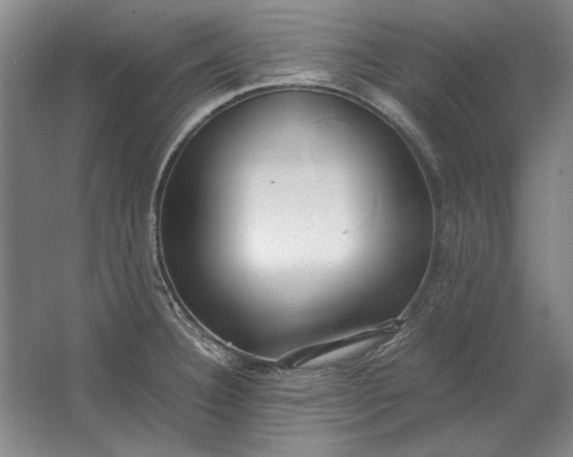 X0000062921332200601271755