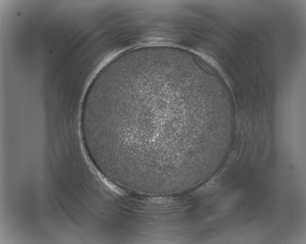 X0000062921333200601271755