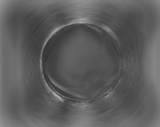 X0000062921334200601271755