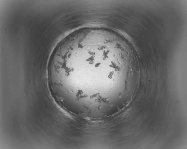 X0000062921335200601271755