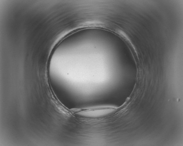 X0000062921336200601271755