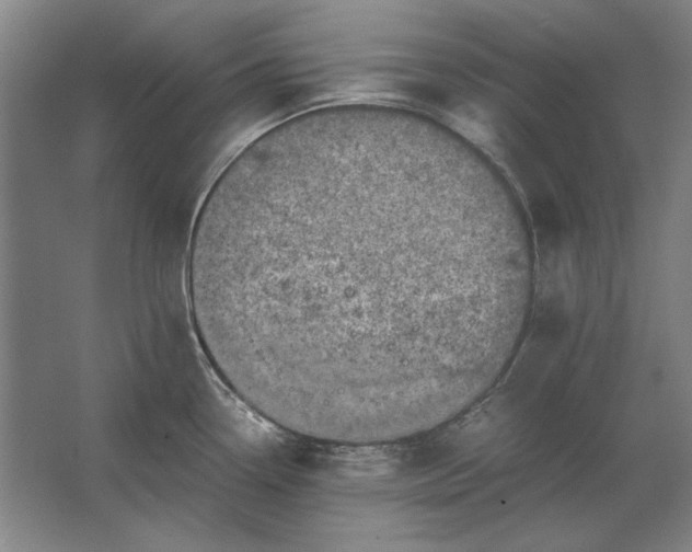 X0000062921338200601271755