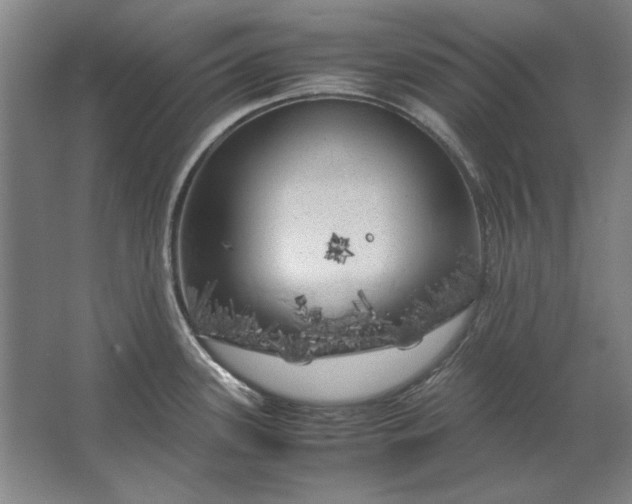 X0000062921339200601271755