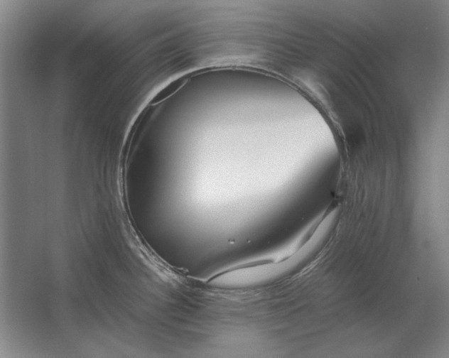 X0000062921340200601271755