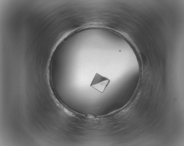 X0000062921341200601271755