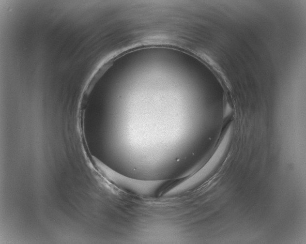 X0000062921342200601271755