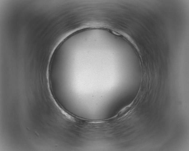 X0000062921343200601271755