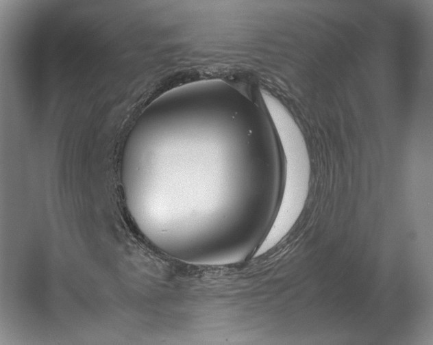 X0000062921345200601271755