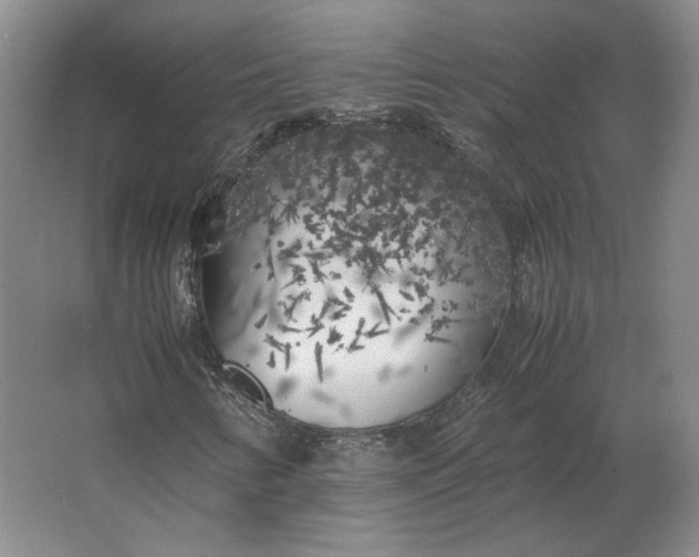 X0000062921346200601271755