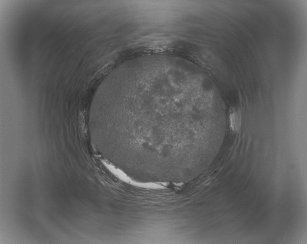 X0000062921347200601271755