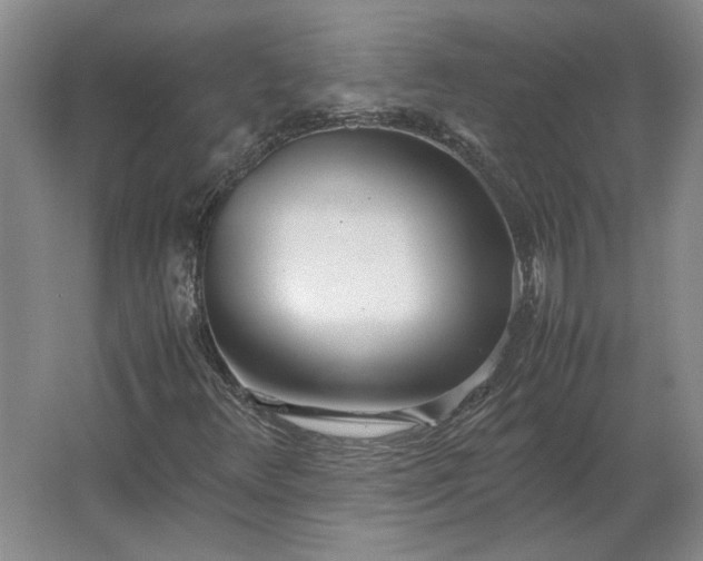 X0000062921348200601271755