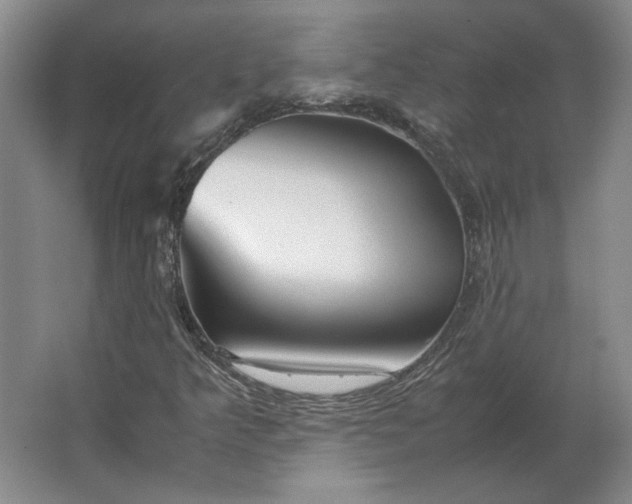 X0000062921349200601271755