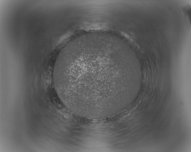 X0000062921350200601271754