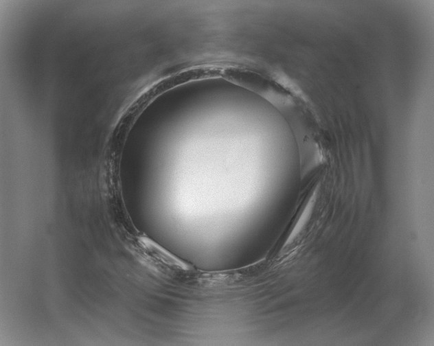 X0000062921352200601271754