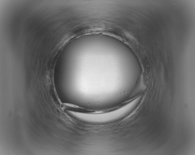 X0000062921353200601271754