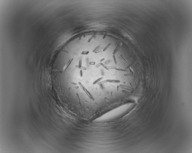 X0000062921354200601271754