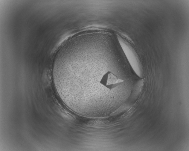 X0000062921355200601271754