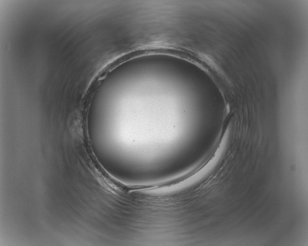 X0000062921356200601271754