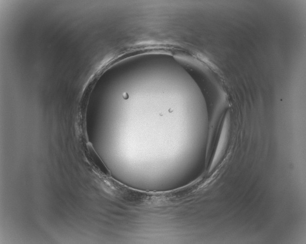 X0000062921357200601271754