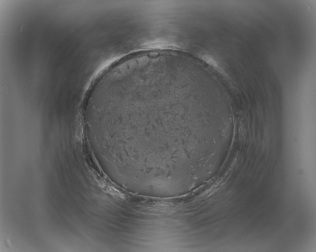 X0000062921358200601271754