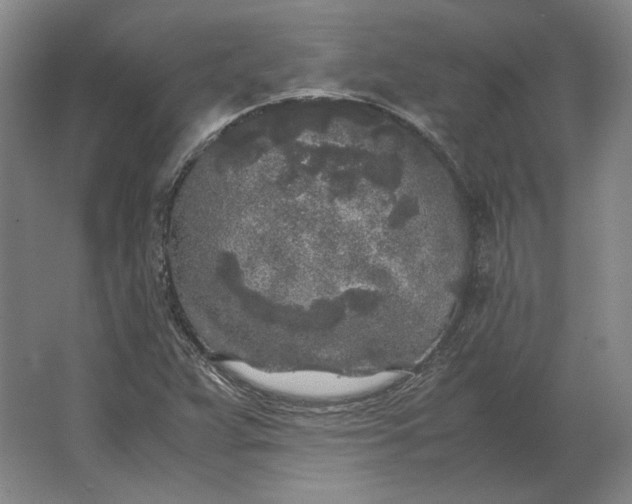 X0000062921359200601271754