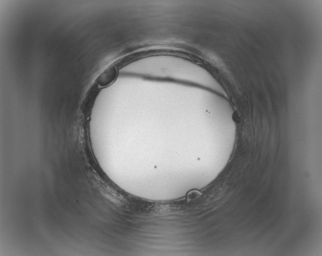 X0000062921360200601271754