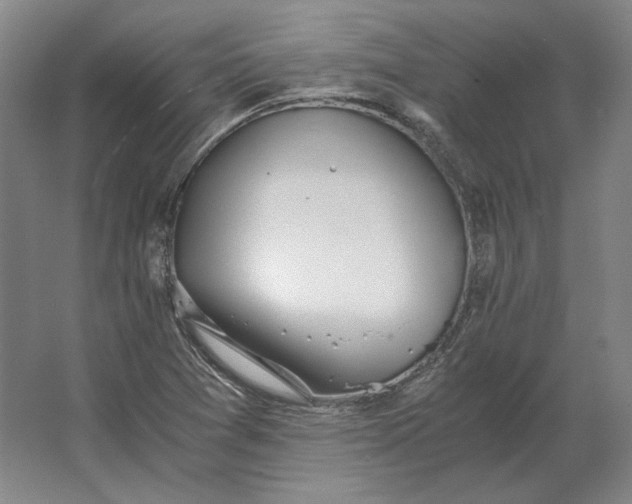 X0000062921361200601271754