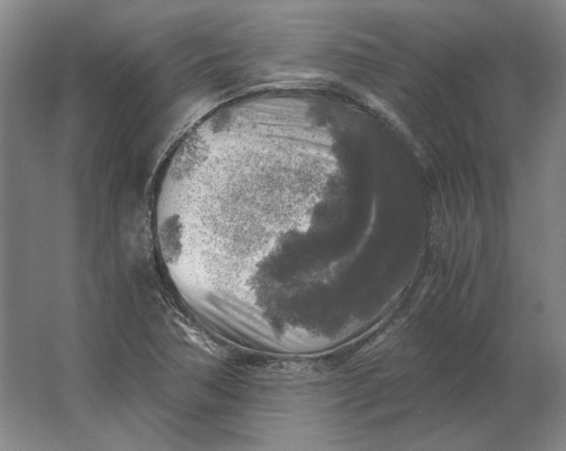 X0000062921362200601271754