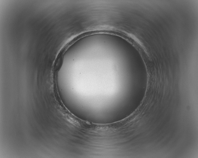 X0000062921364200601271754