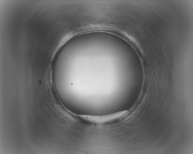 X0000062921365200601271754