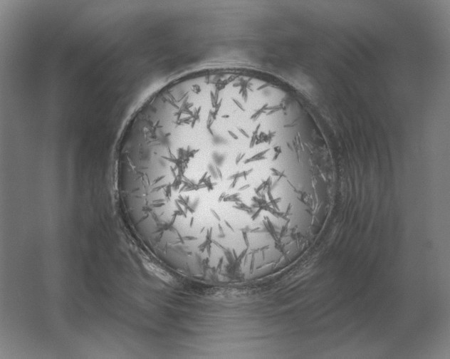 X0000062921366200601271754