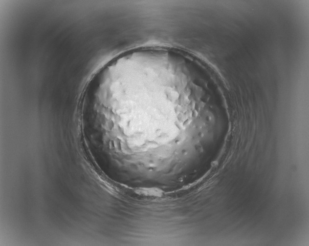 X0000062921367200601271754