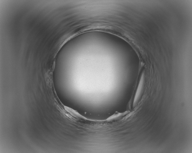 X0000062921369200601271754