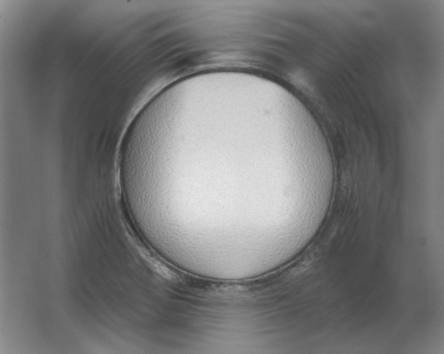 X0000062921370200601271754