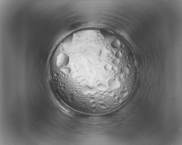 X0000062921371200601271754