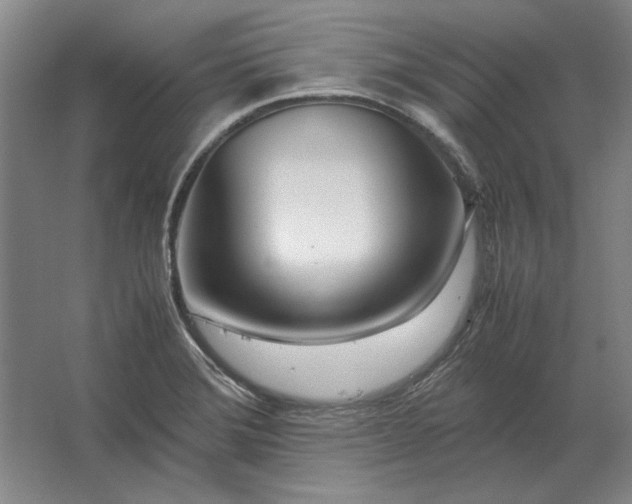 X0000062921372200601271754