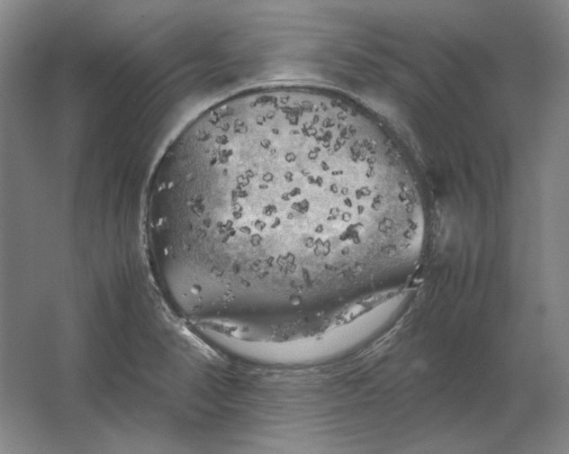 X0000062921374200601271754