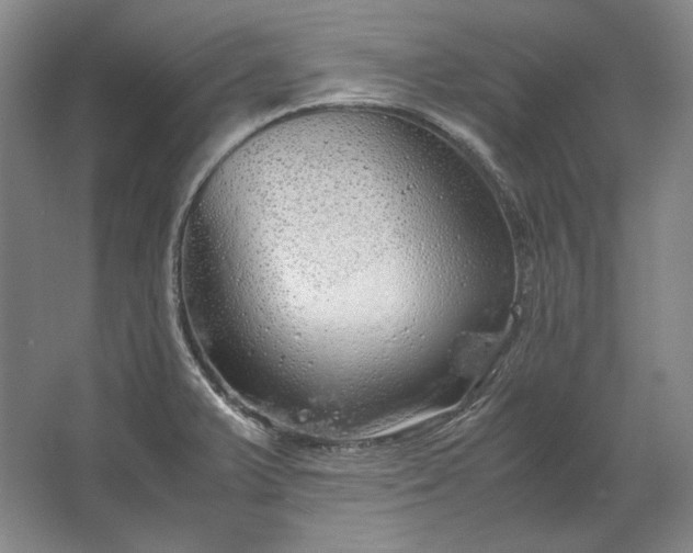 X0000062921375200601271754