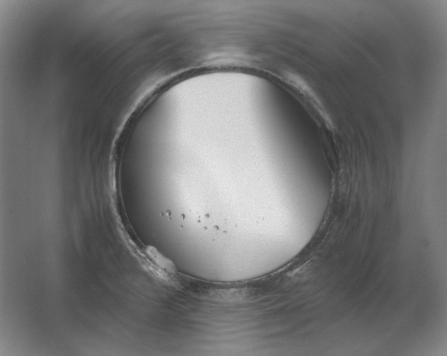 X0000062921376200601271754