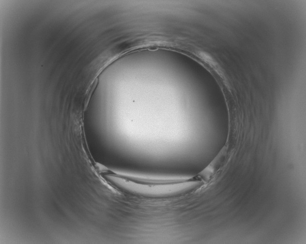 X0000062921377200601271754