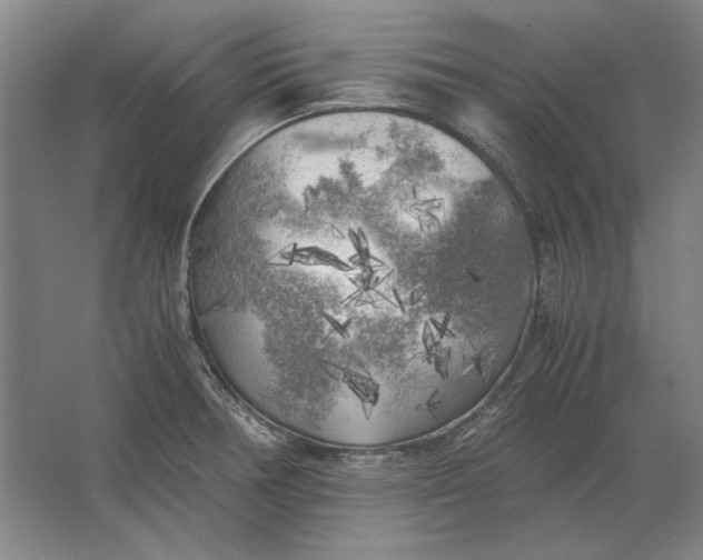 X0000062921378200601271754